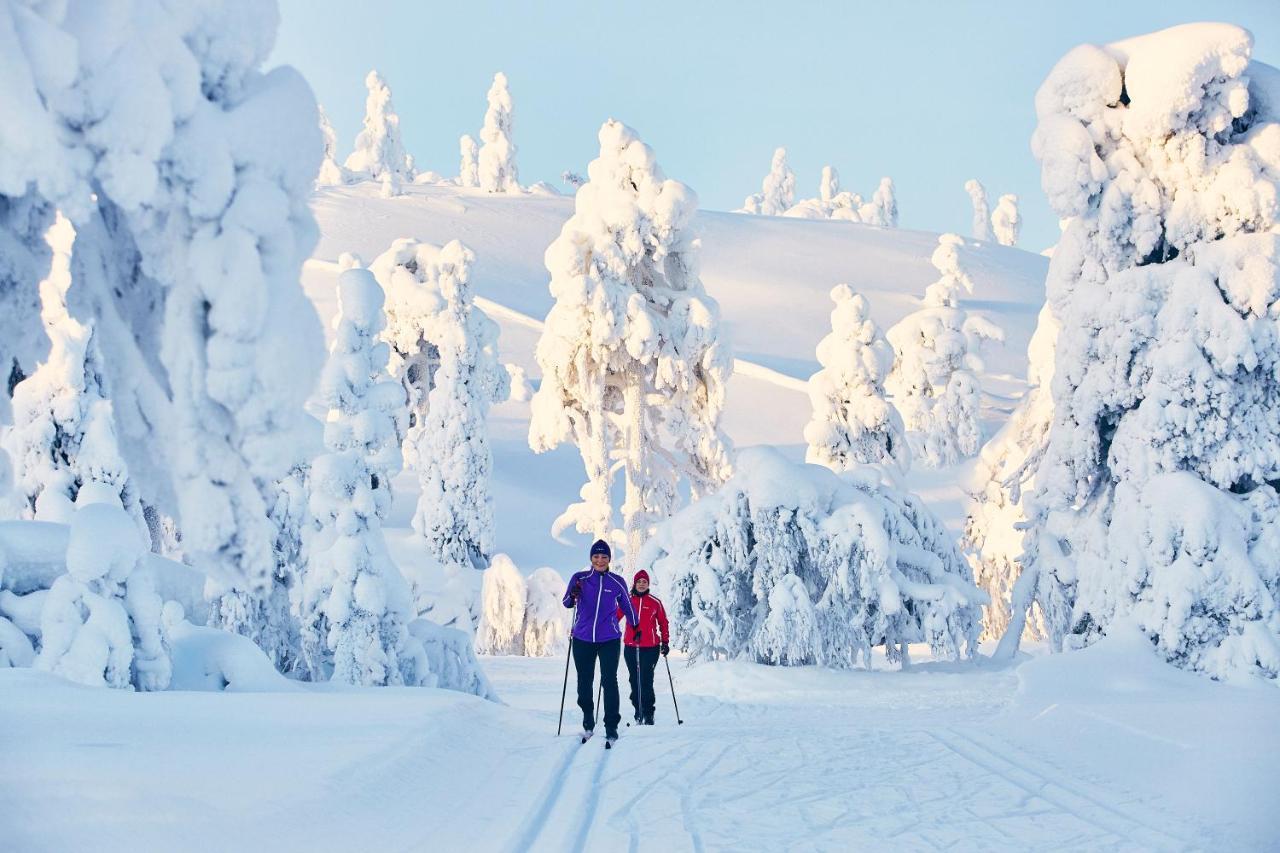 Pyhae Igloos Hotel Pyhatunturi Bagian luar foto