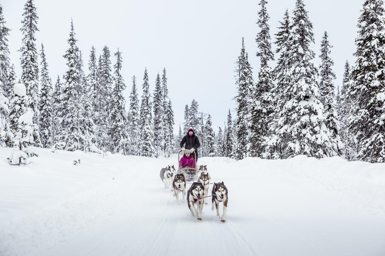 Pyhae Igloos Hotel Pyhatunturi Bagian luar foto